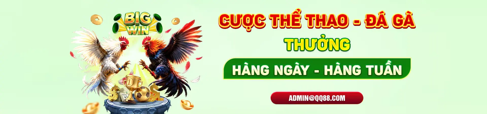 cược thế thao đá gà hàng tuần tại qq88